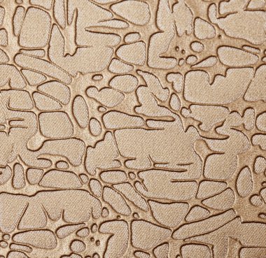 Deri doku arkaplan yüzeyi