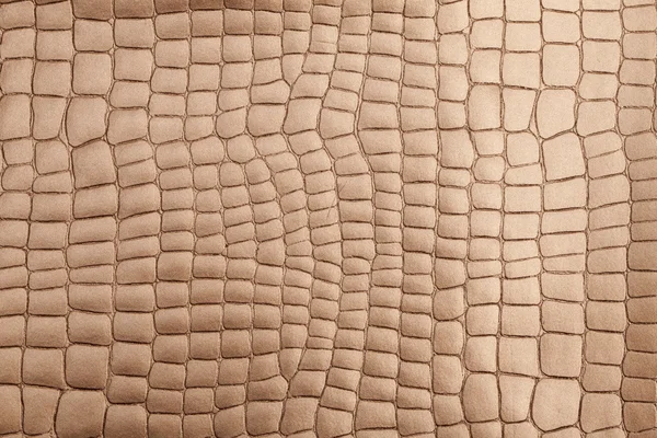 Leather texture background surface — Stock Photo, Image