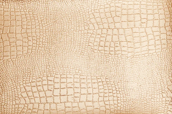 Leather texture background surface — Stock Photo, Image