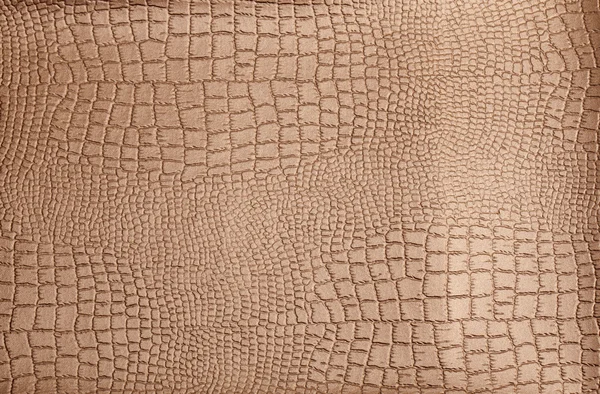 Leather texture background surface — Stock Photo, Image