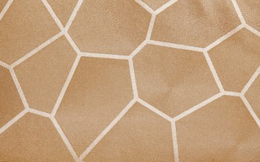 Deri doku arkaplan yüzeyi