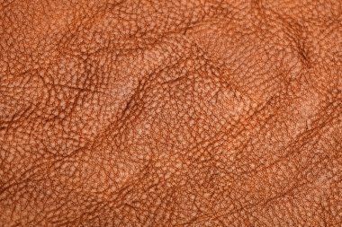 Deri doku arkaplan yüzeyi