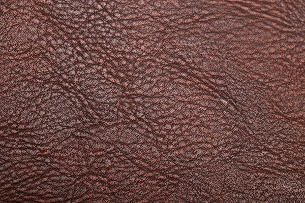 Texture cuir fond surface — Photo