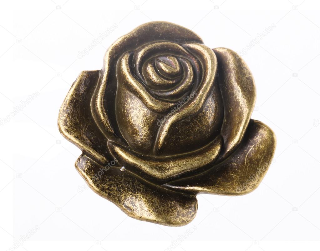The photo of beautiful iron rose on white background