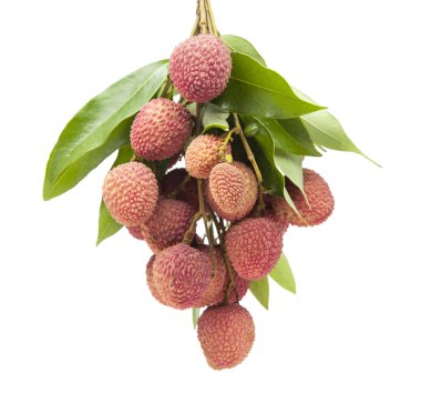 Beyaz arka planda taze lychees