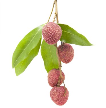 Beyaz arka planda taze lychees