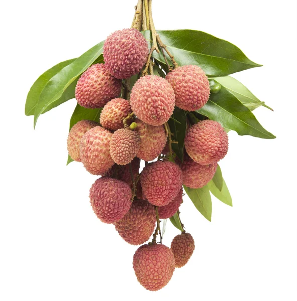 Fresh lychees on white background — Stock Photo, Image