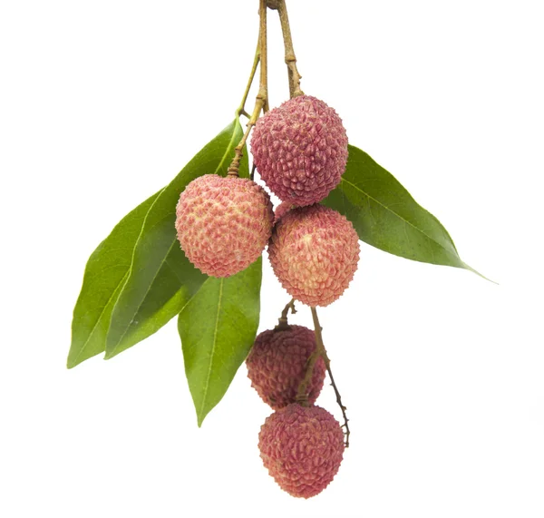 Fresh lychees on white background — Stock Photo, Image