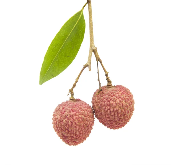 Fresh lychees on white background — Stock Photo, Image