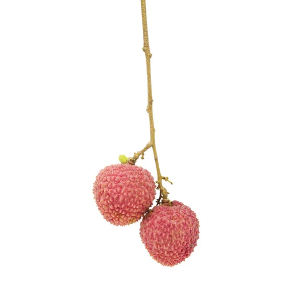 Fresh lychees on white background — Stock Photo, Image