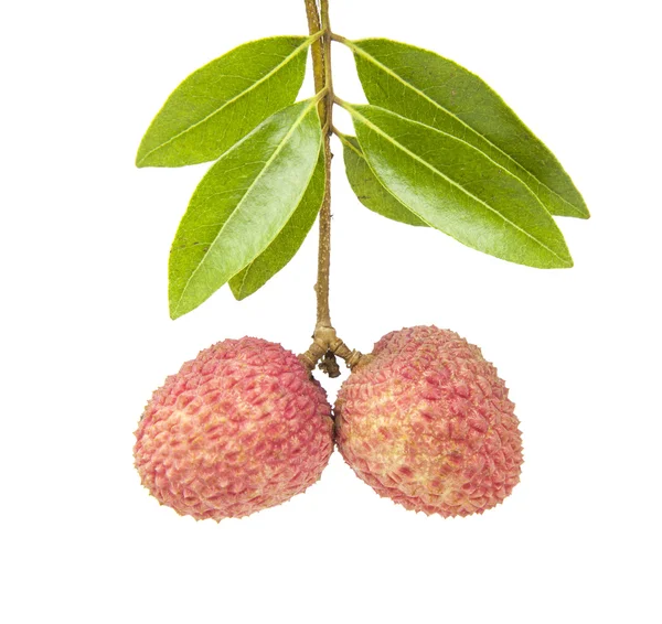 Fresh lychees on white background — Stock Photo, Image