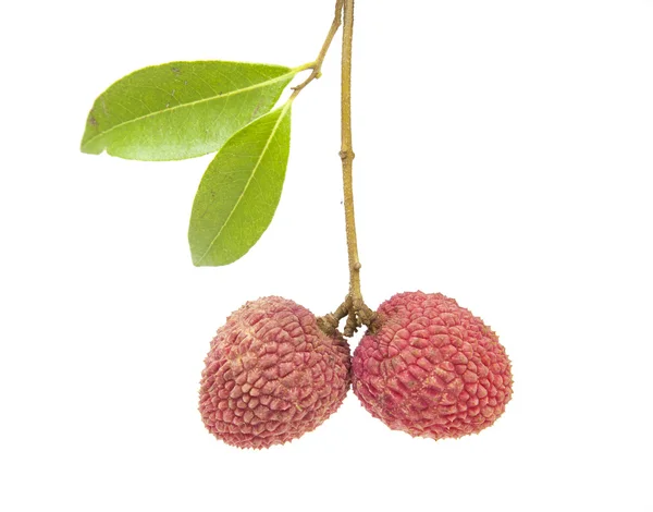 Fresh lychees on white background — Stock Photo, Image