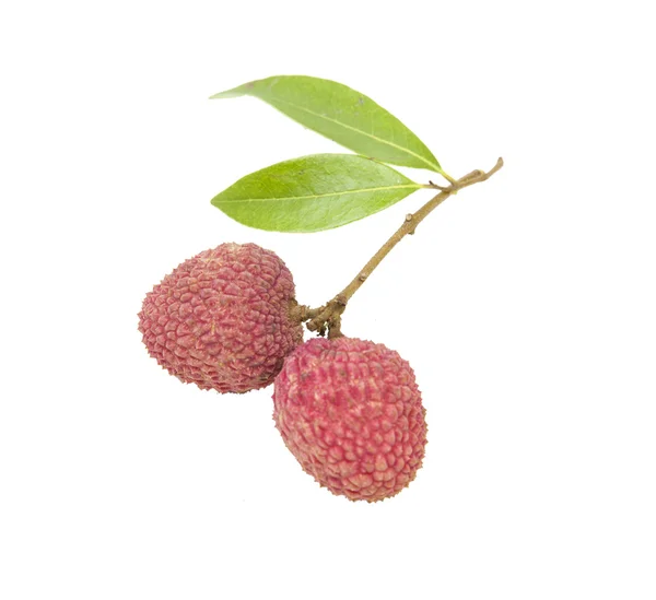 Fresh lychees on white background — Stock Photo, Image