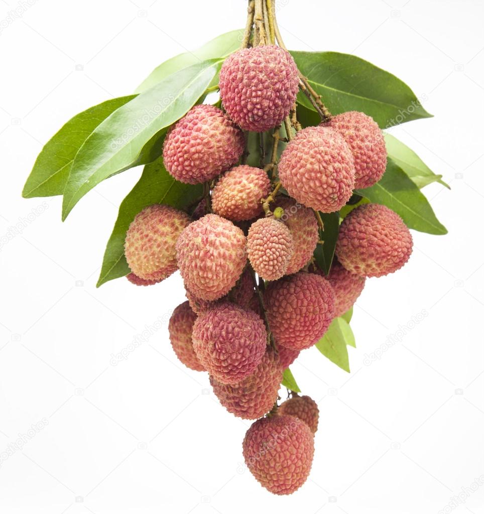 litchima