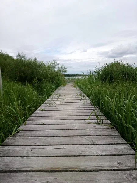 Wooden Walkways Lake Green Grass Reeds — Stock Photo, Image