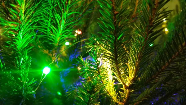 Christmas fir tree, led garland, christmas tree and garland close up