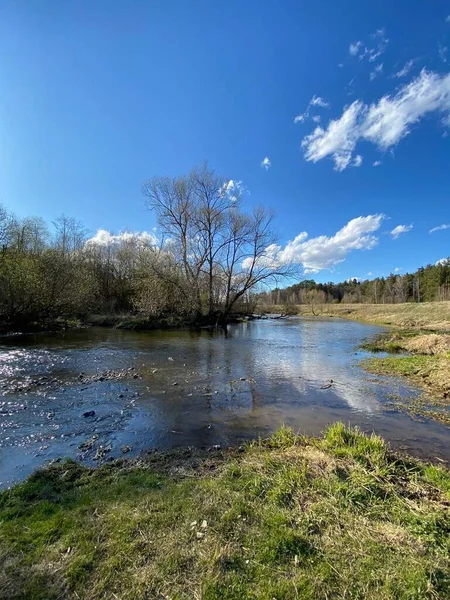 Lake River Trees Spring Summer — Stock Photo, Image