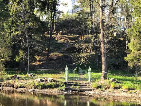 Lake River Trees Spring Summer — Stock Photo, Image