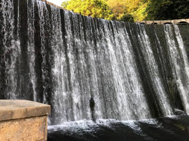 Dağlık nehir, şelale, güzel taşlar ve ağaçlar.