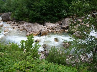 Dağlık nehir, şelale, güzel taşlar ve ağaçlar.