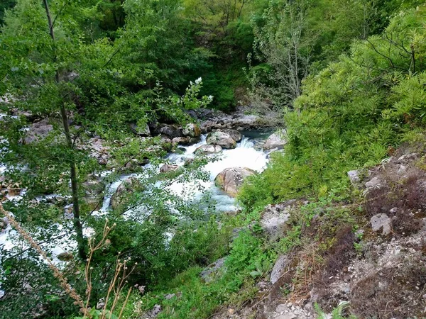 Szorstka Górska Rzeka Wodospad Piękne Kamienie Drzewa — Zdjęcie stockowe