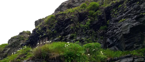 Bergen Bos Stenen Prachtige Natuur Hoog Bergen — Stockfoto