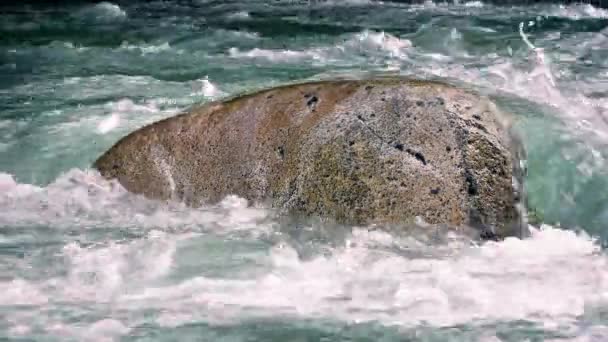 川で大きい玉石 — ストック動画
