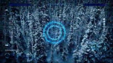 Anteni dron Pov taramaları Snowy orman
