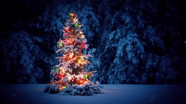 Bunter Weihnachtsbaum im Schnee — Stockvideo © RockfordMedia 101787900
