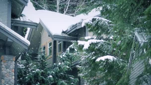 Snöfall på snö täckta hus på vintern — Stockvideo