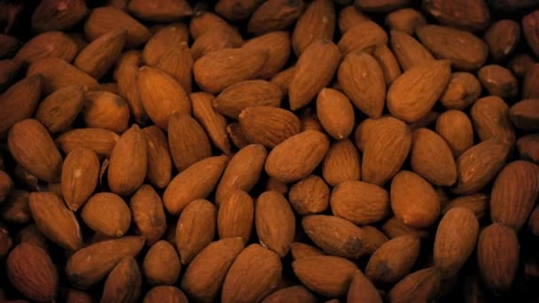 Amandes séchées rotatives — Video