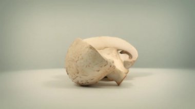 Düz arka plan üzerinde dönen mantarları Sote