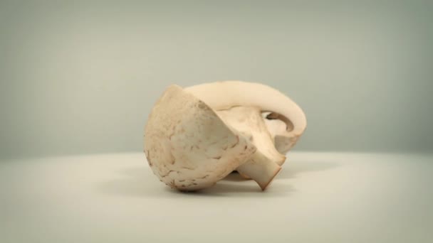 Cogumelos cortados girando em fundo liso — Vídeo de Stock
