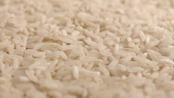 Grãos de arroz girando Closeup — Vídeo de Stock