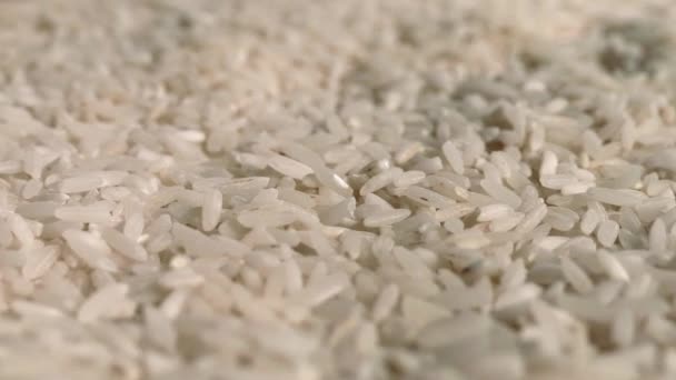 Grains de riz gros plan — Video