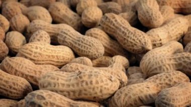 Kabuklu fıstık yavaş yavaş.