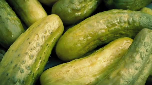 Gepekelde komkommers roterende — Stockvideo