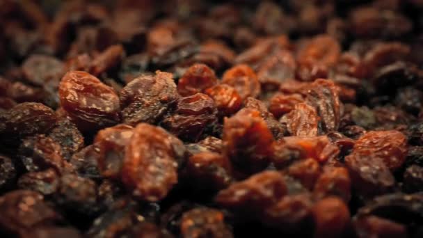 Macro Shot Of dry Raisins — Stock Video
