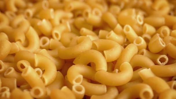 Macaroni Pasta Pieces Rotating — Stock Video