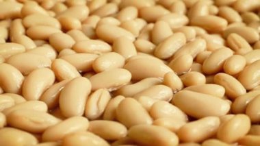 Beyaz fasulye döndürme