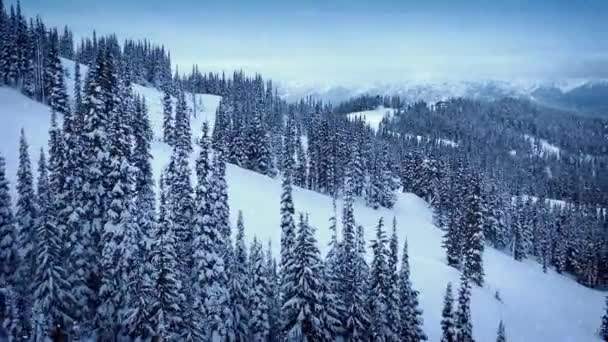 Bergssidan antenn i snöfall — Stockvideo