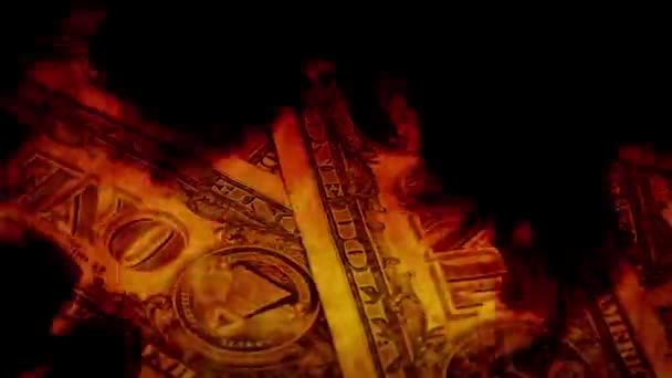 Dollar im Feuer — Stockvideo