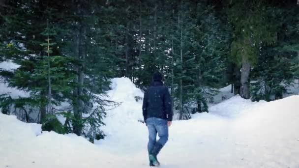 Человек гуляет в заснеженном лесу — стоковое видео