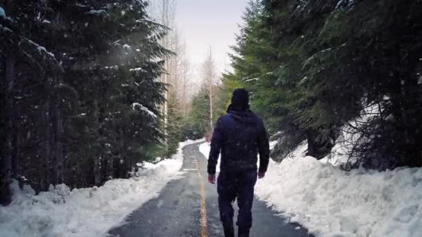 Man går på vägen i snöfall — Stockvideo