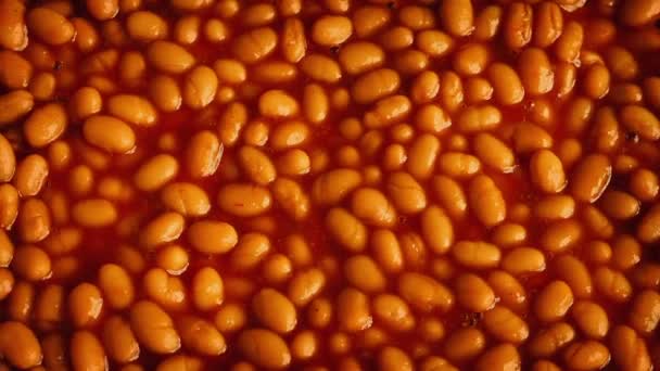 Baked Beans In Tomato Sauce Rotating — Stock Video