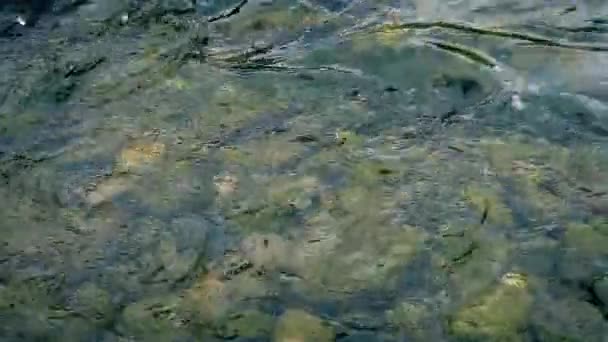 Residuos del río contaminante — Vídeo de stock