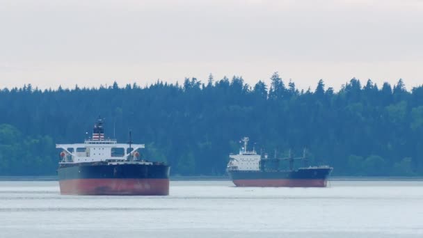 Buques cisterna grandes en la bahía — Vídeos de Stock