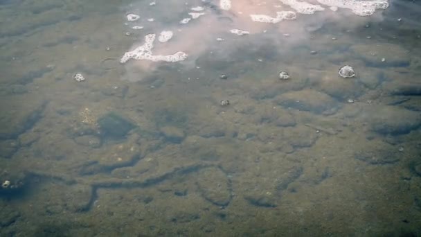 Znečištění vysypal do řeky — Stock video