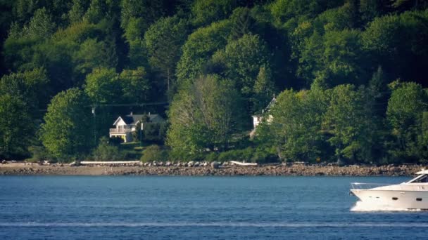 Yacht Passes Forêt Et Maisons Sur La Journée Chaude — Video