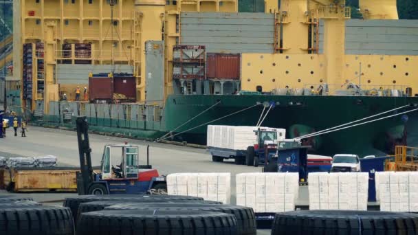 Πολυσύχναστο λιμάνι με εργαζομένους φόρτωσης πλοίων — Αρχείο Βίντεο